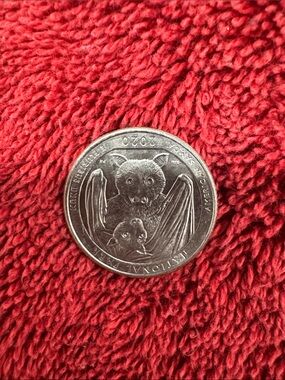 Red Small Pet Coin Display Mat - Pet Small Pets Accessory